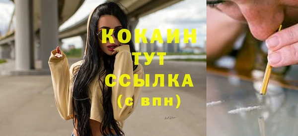 кокс Арсеньев