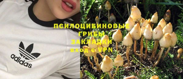 таблы Аркадак
