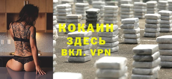кокс Арсеньев