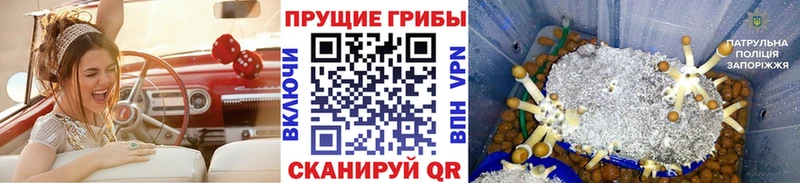 кракен ONION  хочу   Горячий Ключ  Галлюциногенные грибы Cubensis 