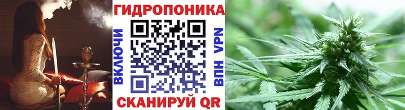 мега tor  Горячий Ключ  МАРИХУАНА SATIVA & INDICA 